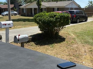 Bush Trimming by Vanessa Robinson for Nellie S. in Augusta, GA
