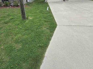 Kenneth O.'s Lawn Maintenance service result