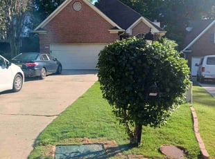 Bush Trimming by Ronaldo Hinton for Meredith D. in Vestavia Hills, AL