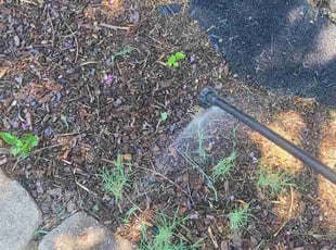 Weeding by Denise Santana for Eric S. in Cartersville, GA