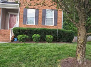 Bush Trimming by Rohan James for Mark H. in Midlothian, VA