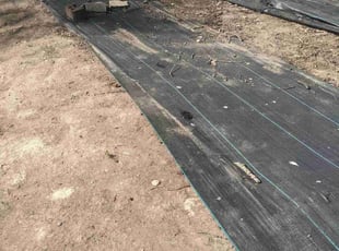 Leaf Removal by Roscoe Carr for George S. in Springfield, VA