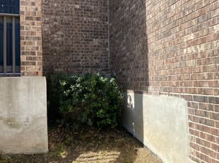 Bush Trimming by Bradley Matthiesen for Michael F. in San Antonio, TX