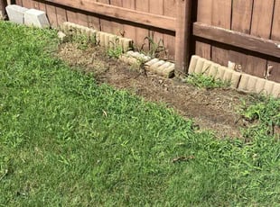 Cleanups by Keily Delgado Preciado for Denise B. in Round Rock, TX