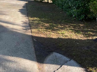 Leaf Removal by Lynn Jeremiah for Zyrek J. in Jacksonville, FL