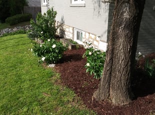 Mulching by Charles Davis for Bryant B. in University City, MO