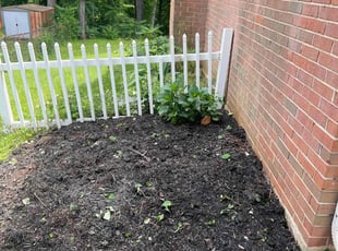 Cleanups by Gilbert Osorio for Charles B. in Woodbridge, VA