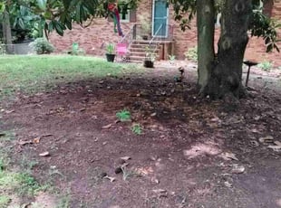 Leaf Removal by Keem James for Nancy S. in Chapel Hill, NC