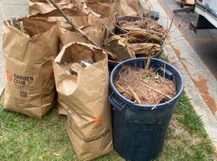 Cleanups by Robert Faison for Miranda E. in Bowie, MD
