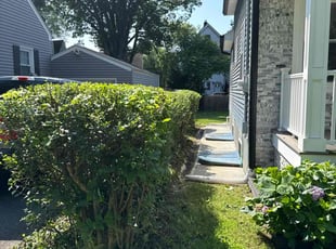 Bush Trimming by Javier Presentado for Uttara G. in Summit, NJ