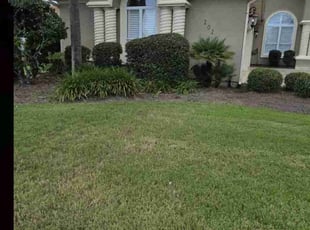 Bush Trimming by David Redman for Dennis C. in Panama City, FL