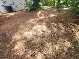 Leaf Removal by Sarah Williams for Scott M. in Decatur, GA