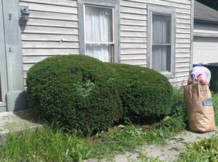 Bush Trimming by Robert Boster for John U. in Columbus, OH