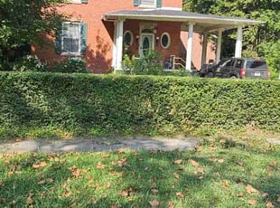 Bush Trimming by Nathaniel Howard for Susie B. in Richmond, VA