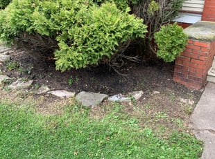 Leaf Removal by Delvon Stone for Chrystal H. in Toledo, OH