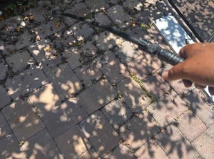 Ryan F.'s Weeding service result