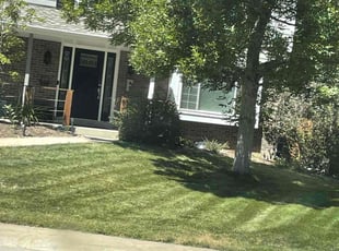 Cleanups by Tony Roma for Rob L. in Centennial, CO