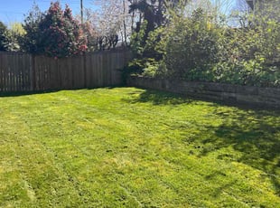 Amanda P.'s Lawn Mowing service result