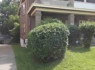 Bush Trimming by Caleb Patton for Asha L. in Cincinnati, OH