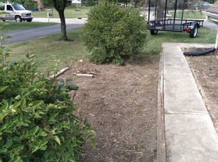 Weeding by Thomas Swert for Lorene W. in Toledo, OH