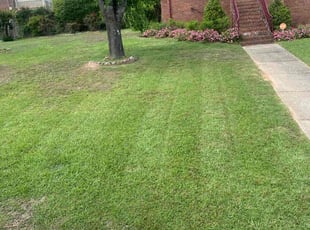 Stephanie B.'s Yard Cutting service result