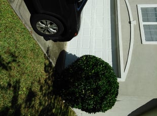 Bush Trimming by Jerome Hendricks for Michelle A. in Jacksonville, FL
