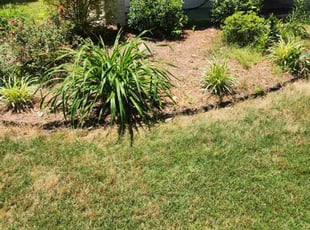 Weeding by Carlos Wright for Mike M. in Suwanee, GA