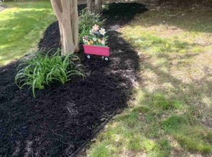 Mulching by Josh Scanlan for Annie M. in Taylors, SC