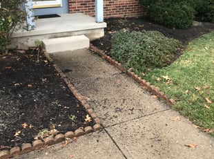 Leaf Removal by Kaharie Lewis for Harry S. in Columbus, OH