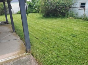 Cleanups by Ebony Pilcher for Cheryl T. in Buffalo, NY