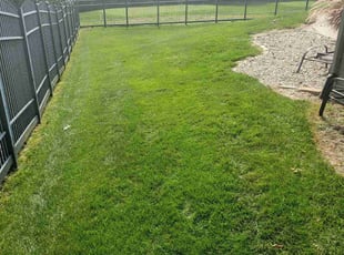 Leigh Ann B.'s Lawn Care service result