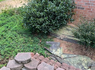 Weeding by Andrew White for Aenoi L. in Jonesboro, GA