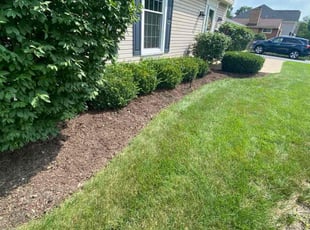 Weeding by Cesar Flores for Nicholas T. in Downers Grove, IL