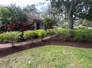 Mulching by Ramon Taguja for Gina B. in Plant City, FL