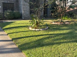 Steve P.'s Lawn Mowing Service service result