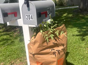 Bush Trimming by Yaneth Figueroa for Hubert E. in Marietta, GA