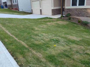 Cleanups by Emmanuel Odeh Adimah for Donald R. in Fairburn, GA