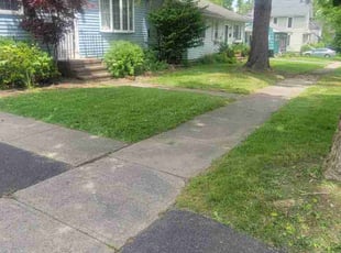 Amber B.'s Lawn Mowing Service service result
