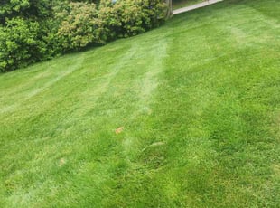 Martha E.'s Lawn Maintenance service result