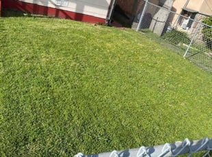 Brighton E.'s Lawn Mowing Service service result