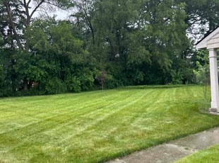 Cleanups by Kyle Yacko for James G. in St. Clair Shores, MI
