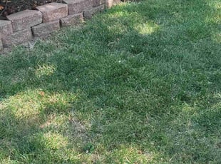 Leaf Removal by Steven J. Smith for Sadie O. in Lenexa, KS