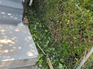 Cleanups by Dwayne Hope for Nikki L. in Baltimore, MD