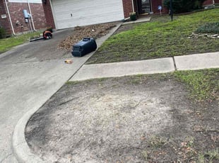 Mayra A.'s Leaf Removal service result