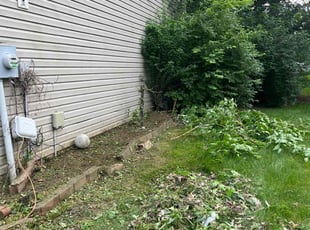 Cleanups by Tywuan Williams for Mekisha C. in Indianapolis, IN