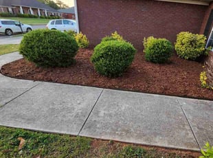 Mulching by Joseph Tafari for Obasi O. in Madison, AL