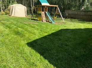 Michelle C.'s Lawn Care service result