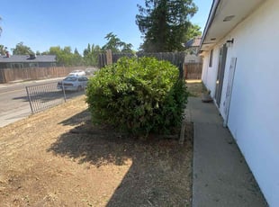 Bush Trimming by Uriel Aldrete for Loretta F. in Sacramento, CA