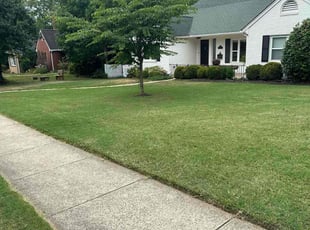 Zulmarie R.'s Lawn Maintenance service result