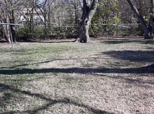 Cleanups by Rene Hernandez for David p. in San Antonio, TX
